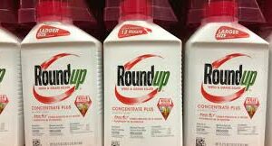best glyphosate herbicide