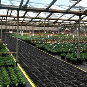 Long Edging for COBAdeluxe Anti-Fatigue Drainage Mat - 156.5 x 5 cm - Yellow - P240-L1093-C09-YE