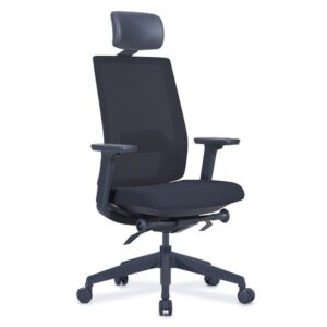 Ergonomic Office Chair - With Headrest - EOFFWHR