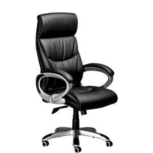 High Back Office Chair - Big Guy CEO - Heavy Duty - Swivel - Gas Height Adjustment - Colour Options