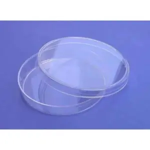 Petri Dishes 15mm x 100mm, 20/Pack