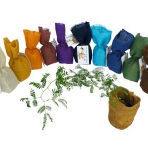 My Tree Starter Packs (Bag) Large: 200*200*300mm – Min Order: 25
