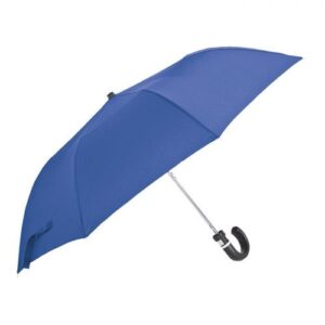 Auto-Open 2-Fold Umbrella with Sleeve – Blue