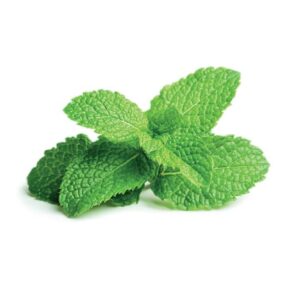 Peppermint essential oil 10ml